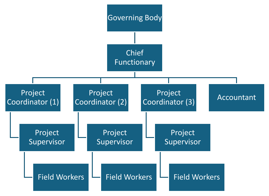 Governance organogram